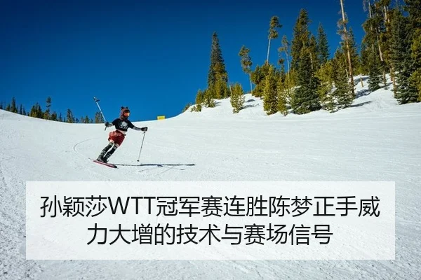 孙颖莎WTT冠军赛连胜陈梦正手威力大增的技术与赛场信号